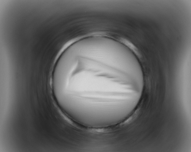 X0000086291428200704201914