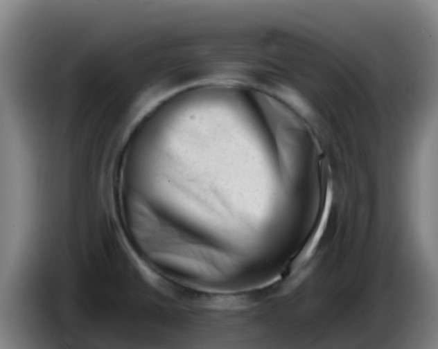 X0000086291430200704201914