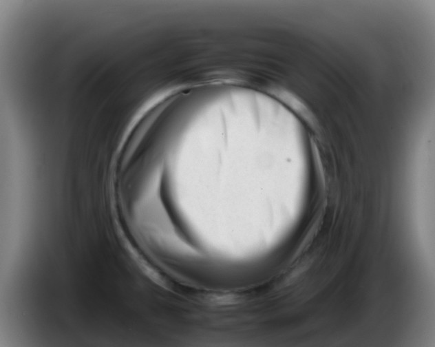 X0000086291431200704201914