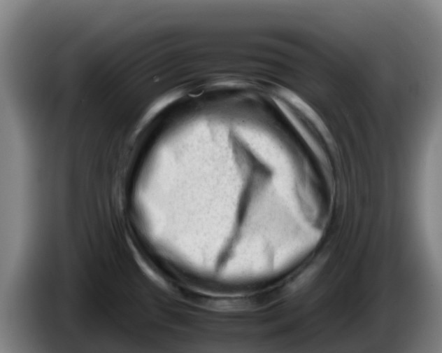 X0000086291433200704201914