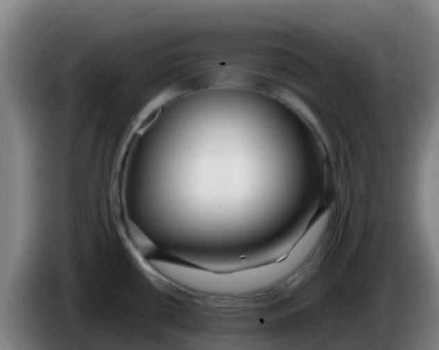 X0000086291434200704201914