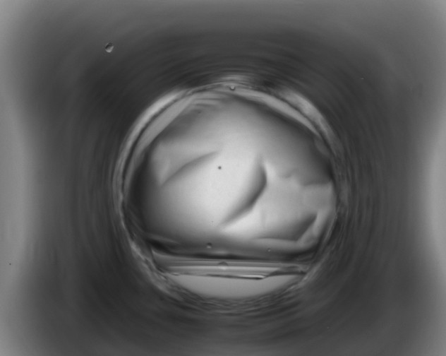 X0000086291435200704201914
