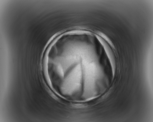 X0000086291436200704201914