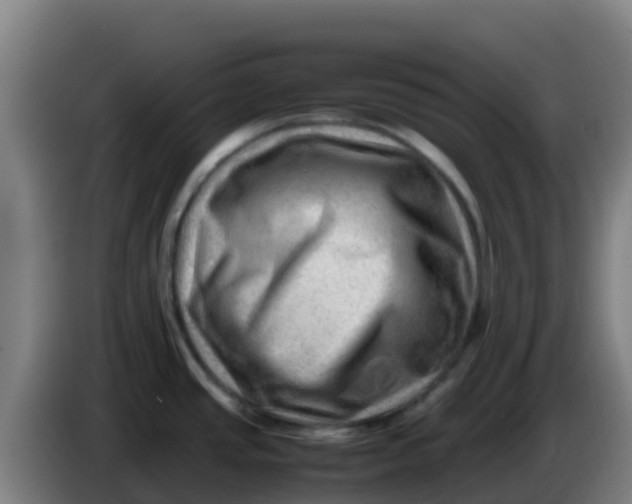 X0000086291437200704201914