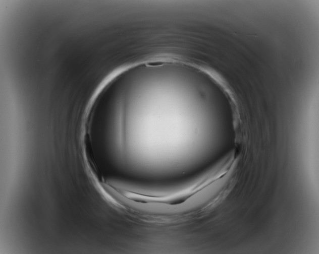 X0000086291438200704201914