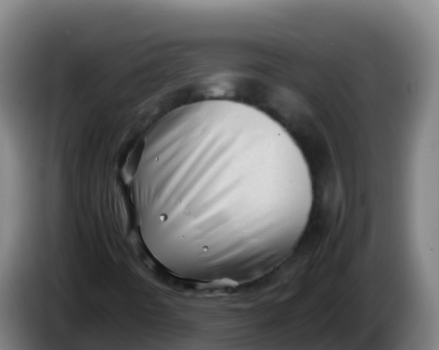 X0000086291442200704201914