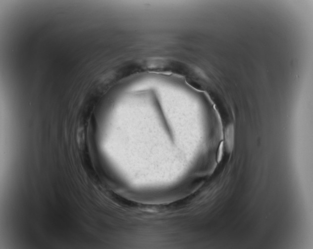 X0000086291443200704201914
