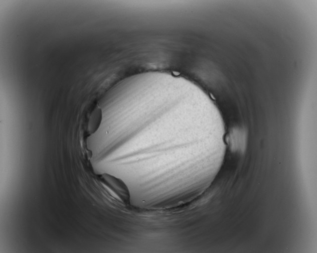 X0000086291444200704201914
