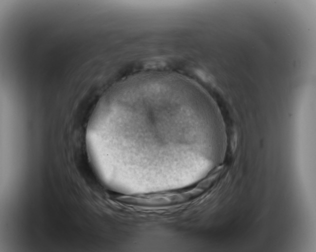 X0000086291445200704201914