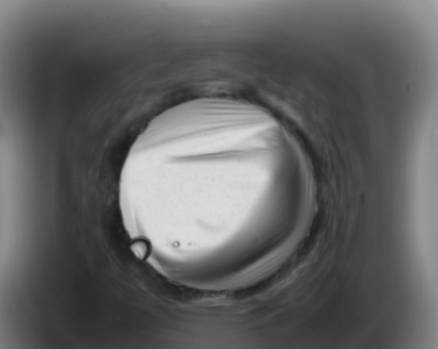 X0000086291447200704201914