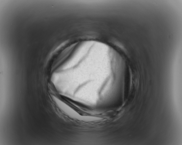 X0000086291448200704201914