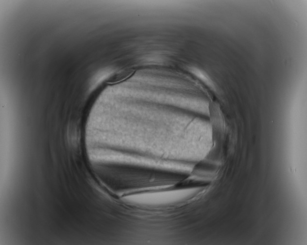X0000086291450200704201914