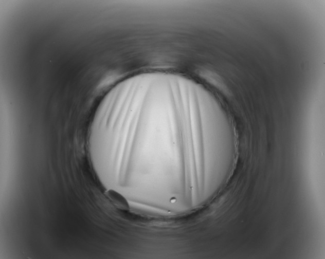 X0000086291451200704201914