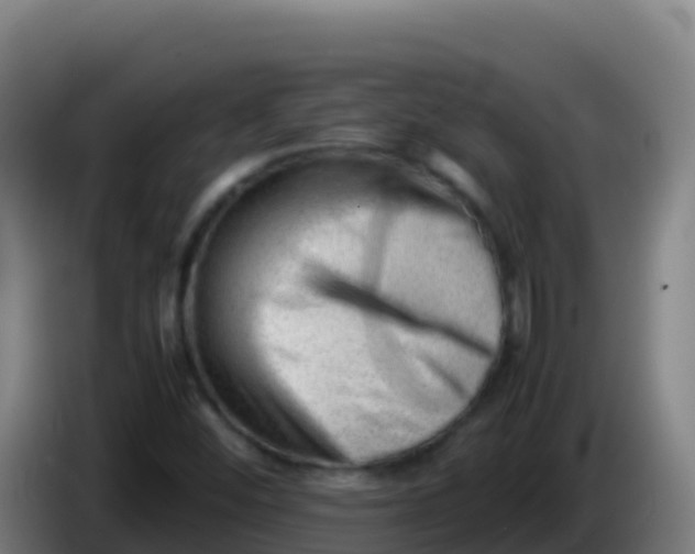 X0000086291452200704201914