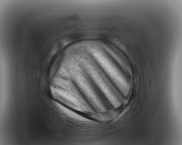 X0000086291453200704201913