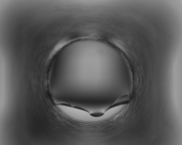 X0000086291455200704201913
