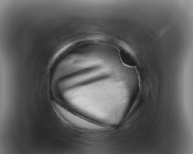 X0000086291456200704201913