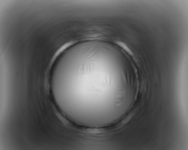 X0000086291458200704201913