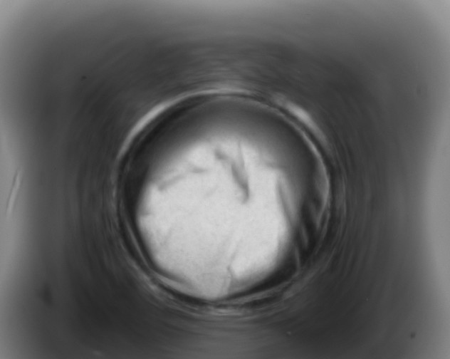 X0000086291460200704201913