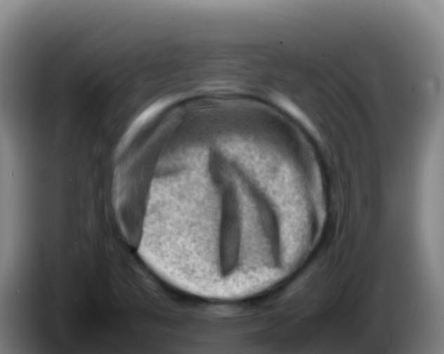 X0000086291461200704201913