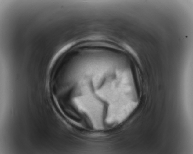 X0000086291464200704201913