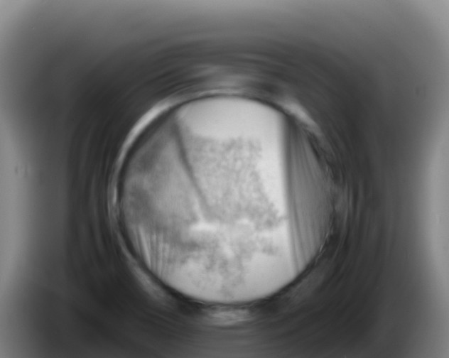 X0000086291466200704201913