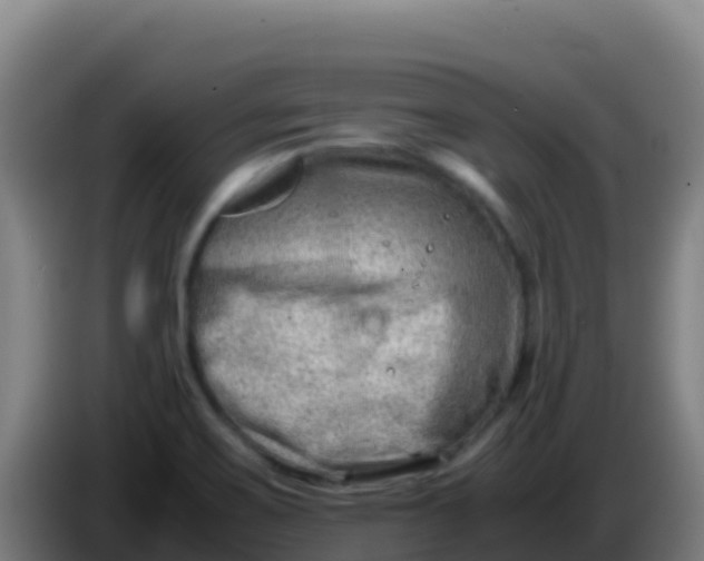 X0000086291467200704201913