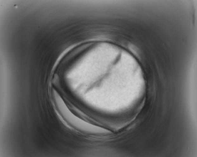 X0000086291468200704201913