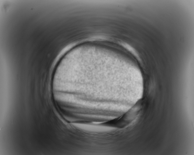 X0000086291469200704201913