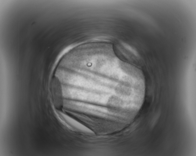 X0000086291471200704201913