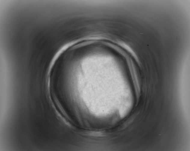 X0000086291472200704201913