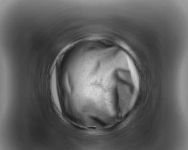 X0000086291473200704201913