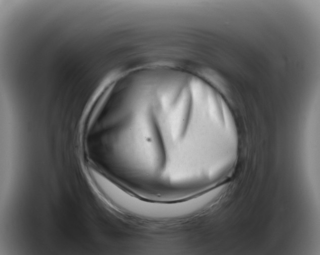 X0000086291475200704201913