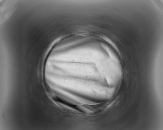 X0000086291477200704201913