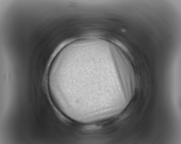 X0000086291478200704201913
