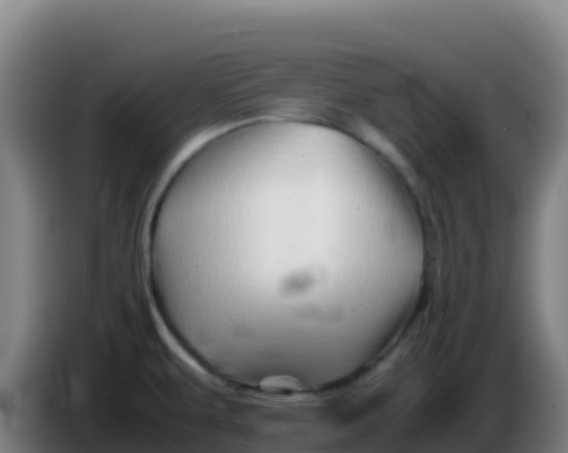 X0000086291479200704201913