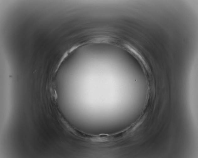 X0000086291481200704201913