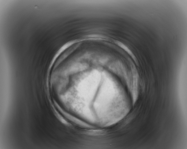 X0000086291482200704201913