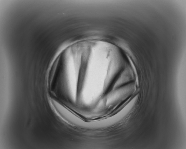 X0000086291483200704201913