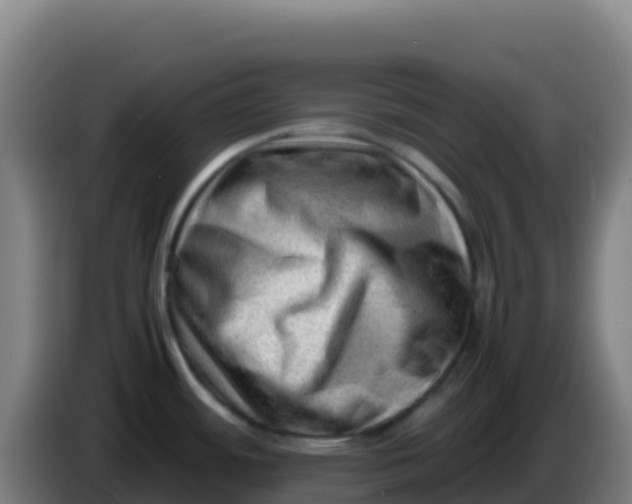 X0000086291484200704201913