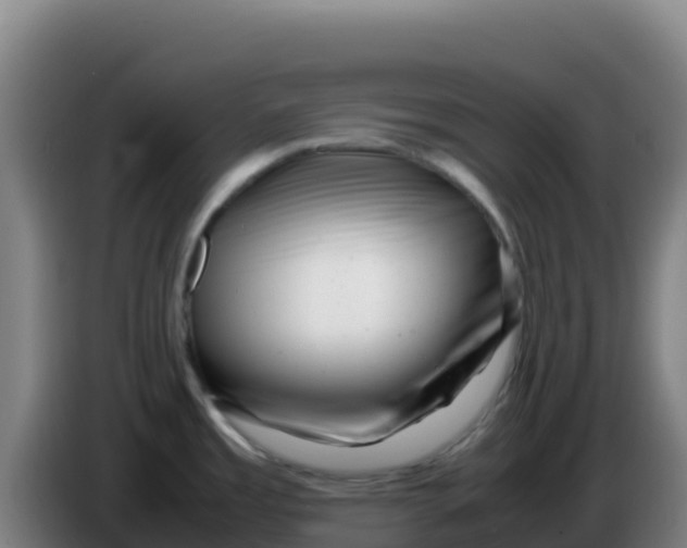 X0000086291485200704201913