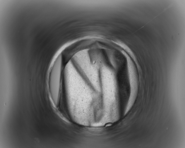 X0000086291488200704201913