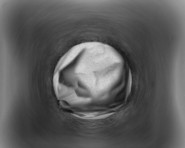 X0000086291489200704201912