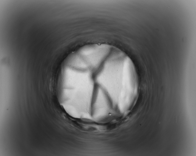 X0000086291490200704201912