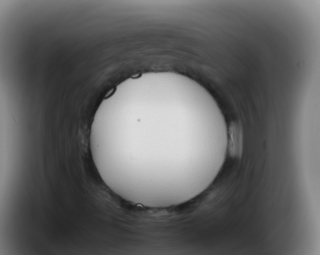 X0000086291491200704201912