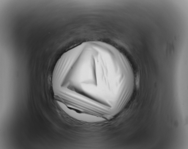 X0000086291492200704201912