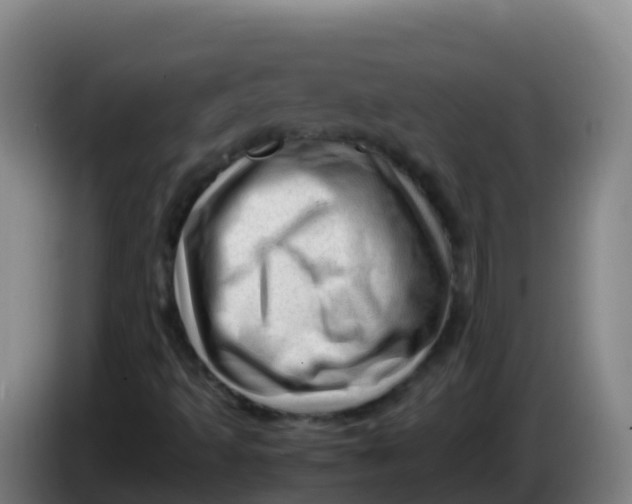X0000086291493200704201912