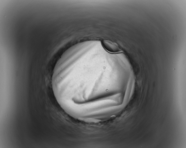 X0000086291495200704201913