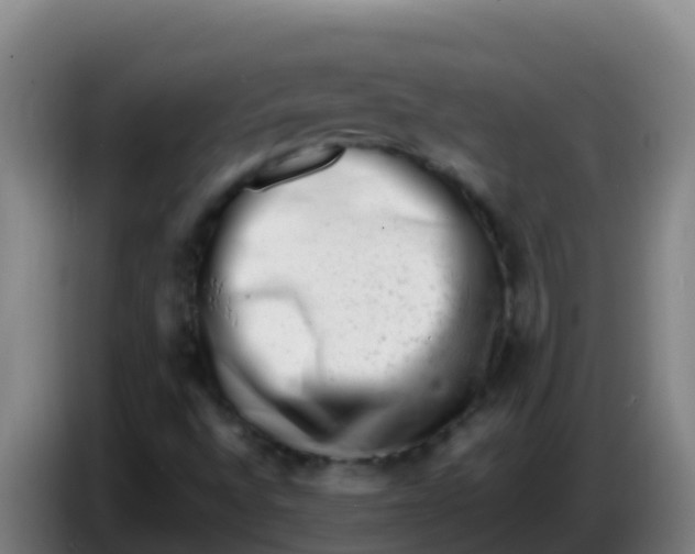 X0000086291496200704201913