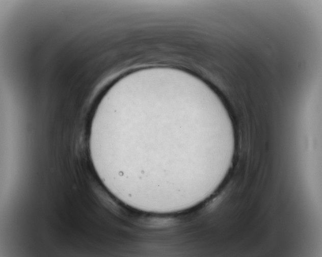 X0000086291498200704201913